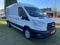 Ford Transit Kasten 350 L3 Trend Wit - thumbnail 3