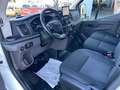 Ford Transit Kasten 350 L3 Trend Wit - thumbnail 9