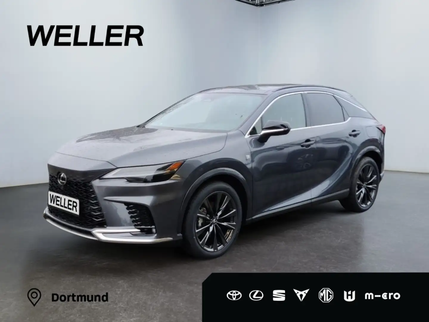 Lexus RX 450h + F SPORT Design *Allrad*360°*HUD*Leder* Šedá - 1