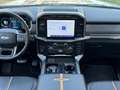Ford F 150 USA 3.5 V6 Ecoboost PLATINUM NIEUWE AUTO! BPM VRIJ Argent - thumbnail 19