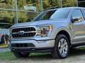 Ford F 150 USA 3.5 V6 Ecoboost PLATINUM NIEUWE AUTO! BPM VRIJ Argent - thumbnail 3