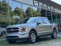 Ford F 150 USA 3.5 V6 Ecoboost PLATINUM NIEUWE AUTO! BPM VRIJ Argent - thumbnail 2