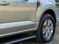 Ford F 150 USA 3.5 V6 Ecoboost PLATINUM NIEUWE AUTO! BPM VRIJ Argent - thumbnail 8