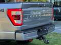 Ford F 150 USA 3.5 V6 Ecoboost PLATINUM NIEUWE AUTO! BPM VRIJ Argent - thumbnail 6