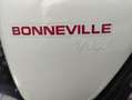 Triumph Bonneville T100 Blanc - thumbnail 10