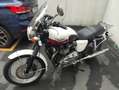 Triumph Bonneville T100 Bianco - thumbnail 1