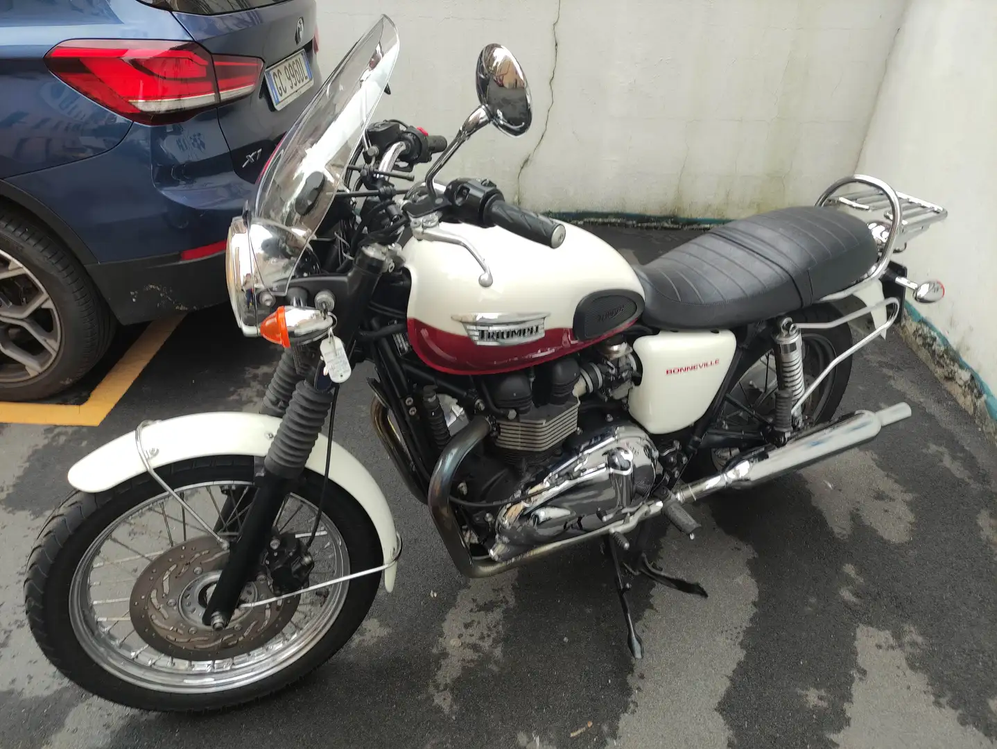 Triumph Bonneville T100 Bianco - 1