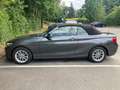 BMW 220 220i Cabrio Aut. Advantage Grau - thumbnail 1