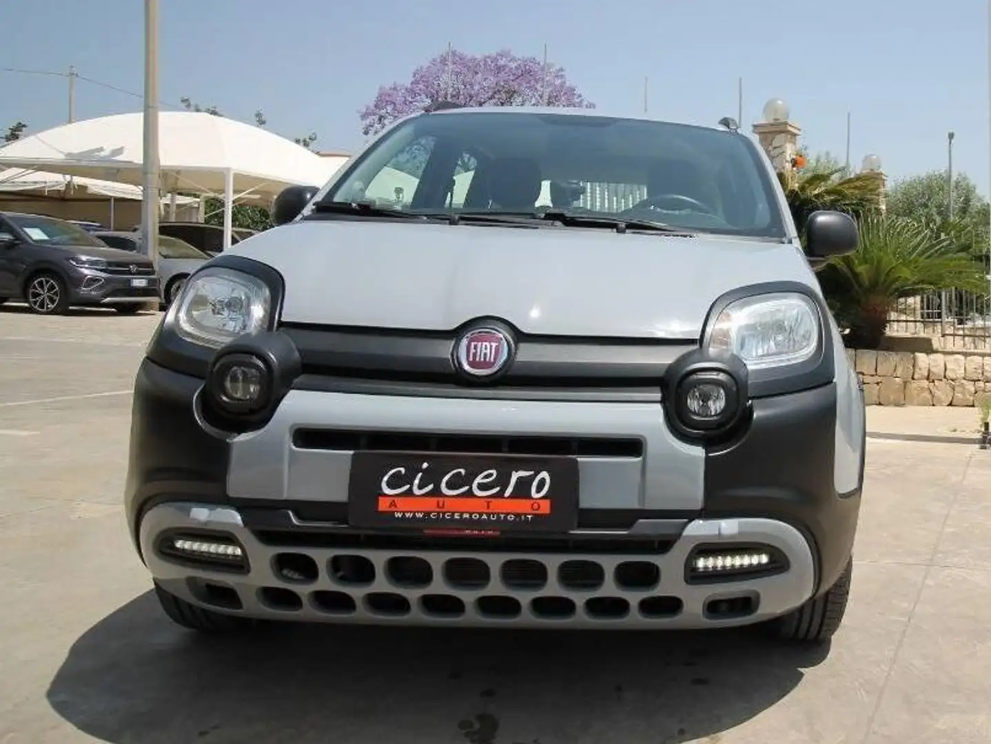 Fiat Panda 1.0 hybrid City Cross 70cv | 2020 Grigio - 2
