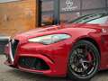 Alfa Romeo Giulia Quadrifoglio Alcantara/H&K/Carbon/Bi-Xeno Rot - thumbnail 3