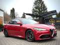 Alfa Romeo Giulia Quadrifoglio Alcantara/H&K/Carbon/Bi-Xeno Rot - thumbnail 6