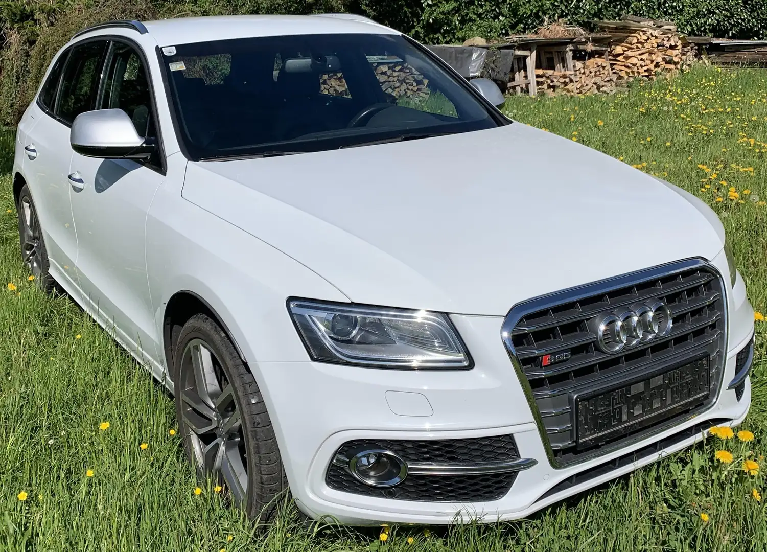 Audi SQ5 SQ5 3,0 TDI quattro DPF Tiptronic Weiß - 1
