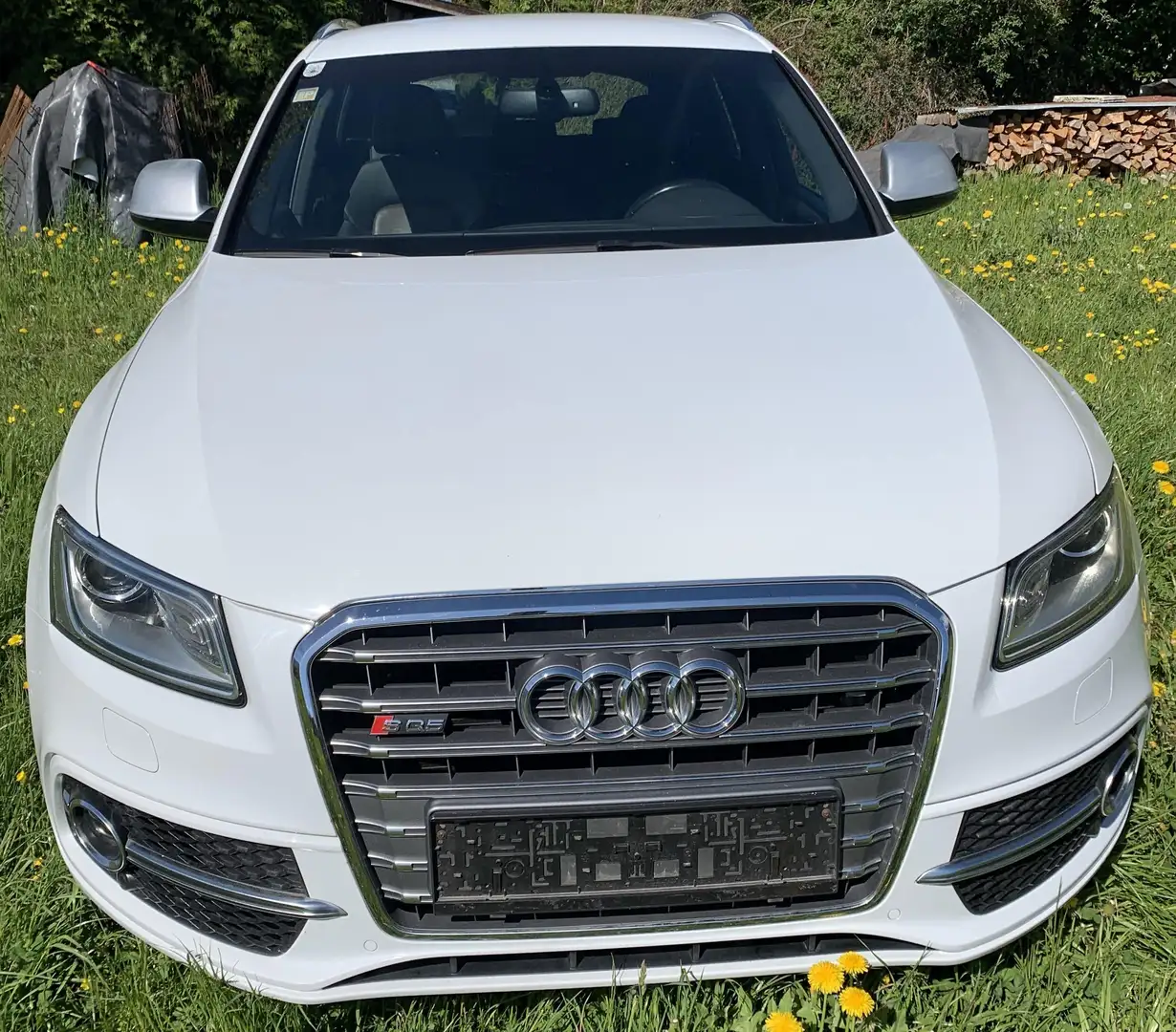Audi SQ5 SQ5 3,0 TDI quattro DPF Tiptronic Weiß - 2