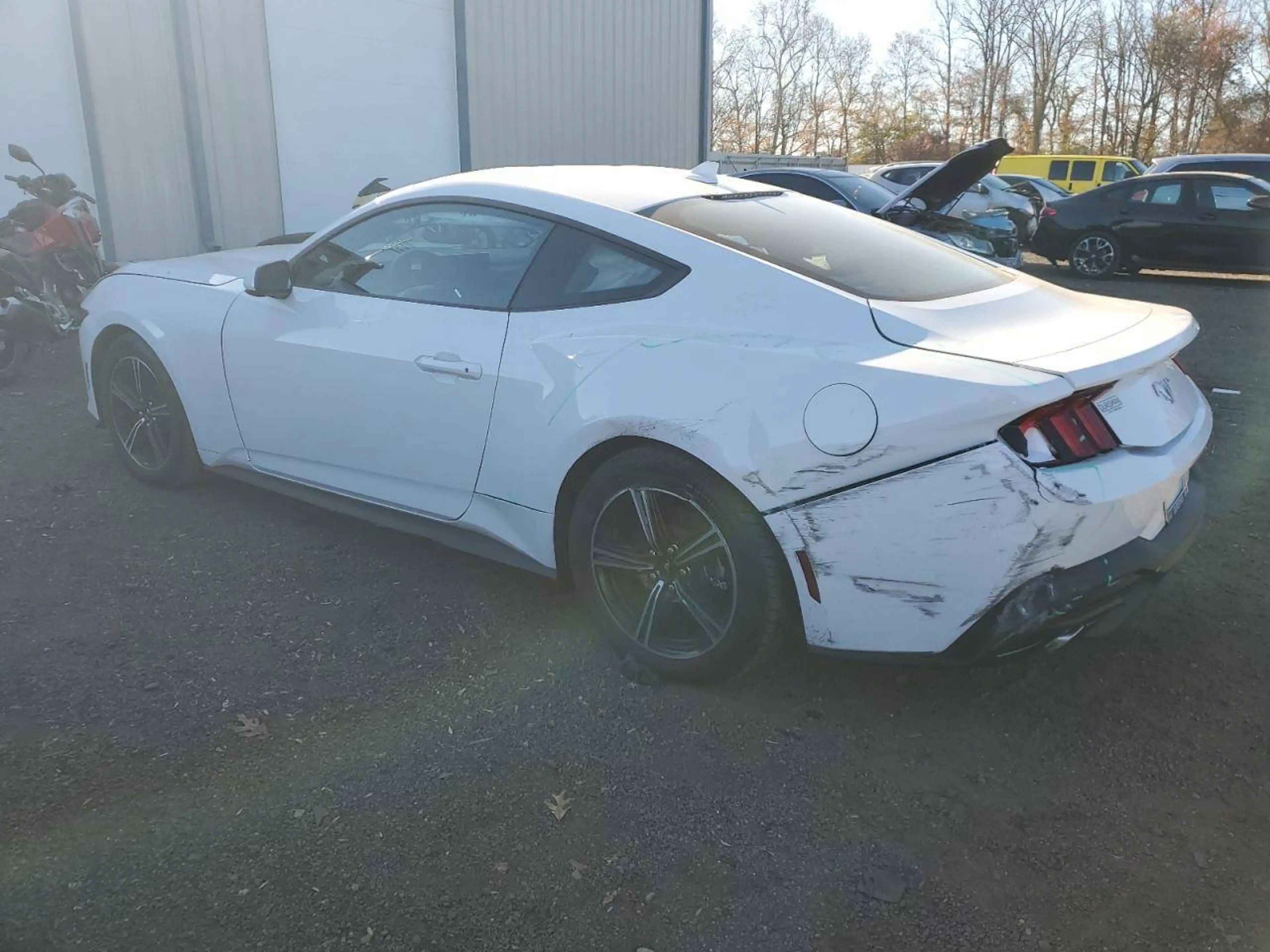 Ford Mustang 2026er Coupe 2.3 Ecob. Leder NAVI Tuning — photo 12