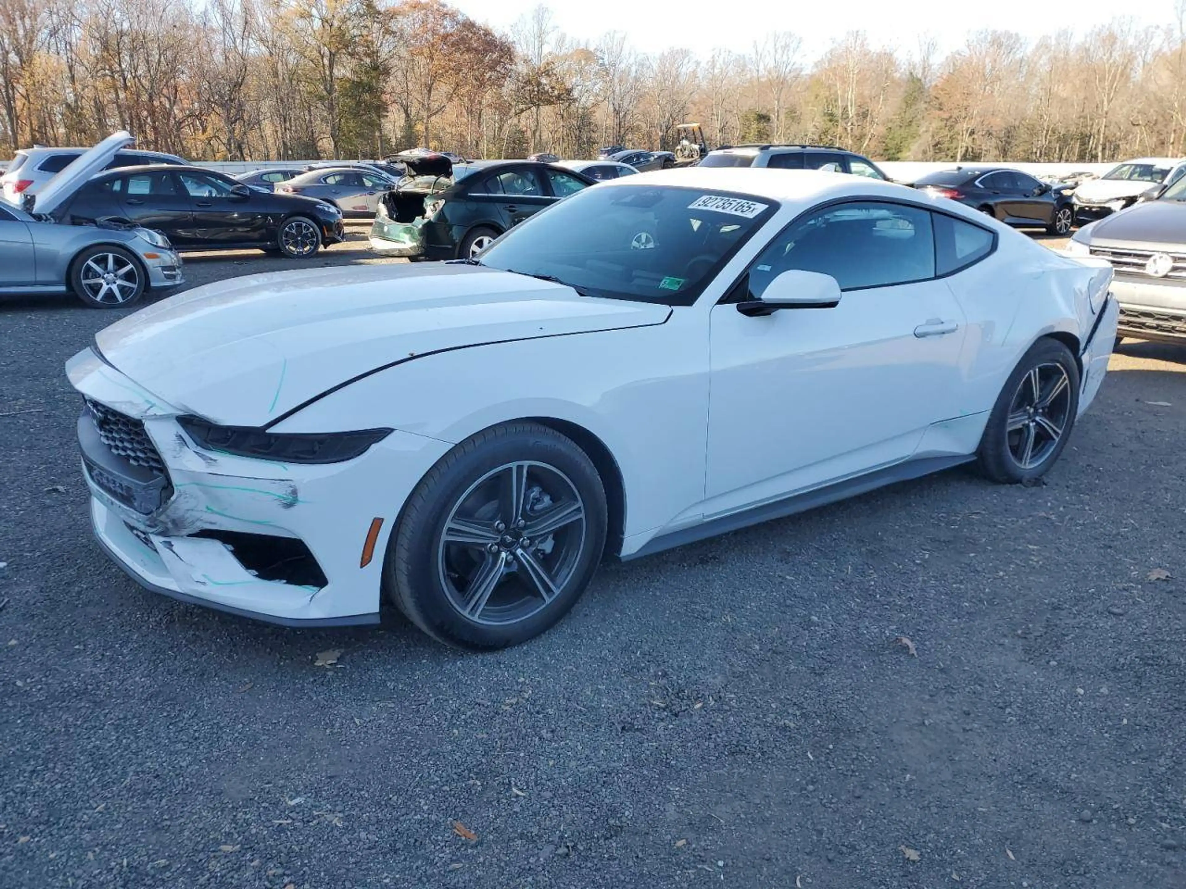 Ford Mustang 2026er Coupe 2.3 Ecob. Leder NAVI Tuning — photo 11