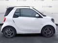 smart forTwo Smart III 2020 Cabrio E Cabrio eq Ushuaia Blanc - thumbnail 4