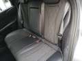 BYD Dolphin 60,4 kWh Comfort Österreich Paket Gri - thumbnail 6