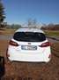 Ford Fiesta Fiesta VII 2022 5p 5p 1.1 Titanium Gpl 75cv Blanco - thumbnail 5