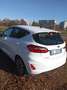 Ford Fiesta Fiesta VII 2022 5p 5p 1.1 Titanium Gpl 75cv Blanco - thumbnail 8