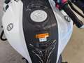 Benelli TRK 502 my 2023 Bianco - thumbnail 13