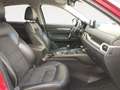 Mazda CX-5 2.2 Skyactiv-D Newground 2WD 110Kw Rojo - thumbnail 11
