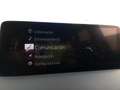 Mazda CX-5 2.2 Skyactiv-D Newground 2WD 110Kw Rojo - thumbnail 16
