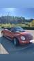 Volkswagen New Beetle Cabrio 1.9 tdi limited Red Edition - thumbnail 3