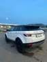 Land Rover Range Rover Evoque 2.2L TD4 Dynamic 4x4 - thumbnail 5