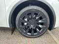 Tesla Model Y Model Y Long Range AWD (NUR B2B) + 20" Alufelgen + Anhängerkupplung + MWST Ausweisbar für Unternehmen Weiß - thumbnail 9