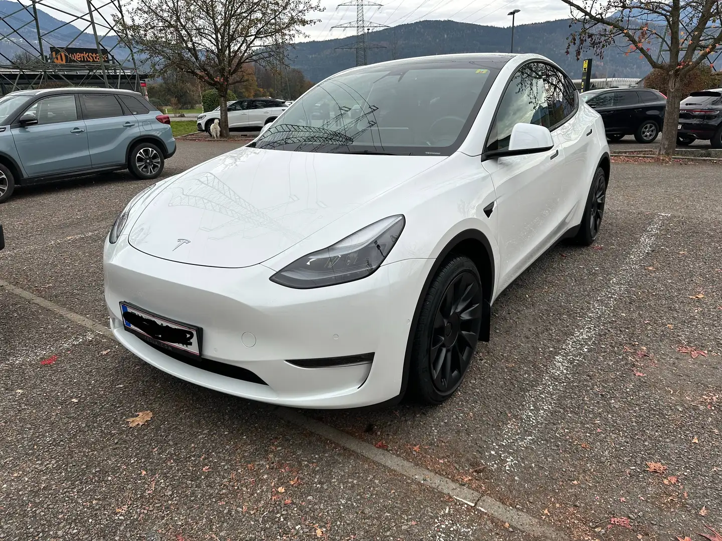 Tesla Model Y Model Y Long Range AWD (NUR B2B) + 20" Alufelgen + Anhängerkupplung + MWST Ausweisbar für Unternehmen Weiß - 1