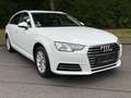 Audi A4 Avant design,Auto,Navi,E6,LED Weiß - thumbnail 1
