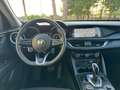 Alfa Romeo Stelvio Stelvio 2020 2.2 t Business Q4 190cv auto Blu/Azzurro - thumbnail 11
