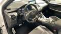 Lexus NX 300 300h F Sport Panorámico 4WD Blanco - thumbnail 31