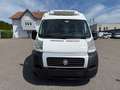 Fiat Ducato*Thermo-King V300*Klima*Kühlkasten* Weiß - thumbnail 10