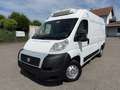 Fiat Ducato*Thermo-King V300*Klima*Kühlkasten* Weiß - thumbnail 1