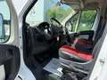 Fiat Ducato*Thermo-King V300*Klima*Kühlkasten* Weiß - thumbnail 13