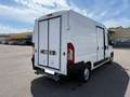 Fiat Ducato*Thermo-King V300*Klima*Kühlkasten* Weiß - thumbnail 7
