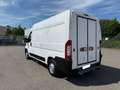 Fiat Ducato*Thermo-King V300*Klima*Kühlkasten* Weiß - thumbnail 3