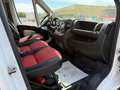 Fiat Ducato*Thermo-King V300*Klima*Kühlkasten* Weiß - thumbnail 11