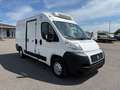 Fiat Ducato*Thermo-King V300*Klima*Kühlkasten* Weiß - thumbnail 9