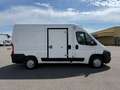 Fiat Ducato*Thermo-King V300*Klima*Kühlkasten* Weiß - thumbnail 8