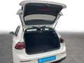 Volkswagen Golf VIII 1.5 TSI Life Navi LED SHZ PDC Weiß - thumbnail 6