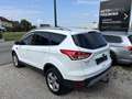 Ford Kuga 1,6 EcoBoost Trend Weiß - thumbnail 2
