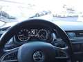 Skoda Rapid/Spaceback Spaceback 1.4 TSI Joy Green tec Panorama Xenon Kli Beige - thumbnail 12