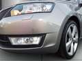 Skoda Rapid/Spaceback Spaceback 1.4 TSI Joy Green tec Panorama Xenon Kli Beige - thumbnail 4