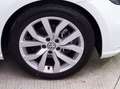 Volkswagen Golf Golf 5p 1.6 tdi Executive 115cv dsg Wit - thumbnail 14