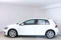 Volkswagen Golf Golf 5p 1.6 tdi Executive 115cv dsg Wit - thumbnail 5