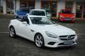 Mercedes-Benz SLC 300 Panorama Navi Airscarf LED Automatik Weiß - thumbnail 2
