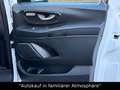 Mercedes-Benz Vito Mixto 119 CDI 4x4 extral. LED+AHK+DISTRONIC Weiß - thumbnail 20