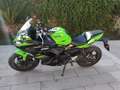Kawasaki Ninja 650 krt edition Verde - thumbnail 4